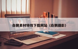 梁山白鹅素材特效下载网站（白鹅摄影）